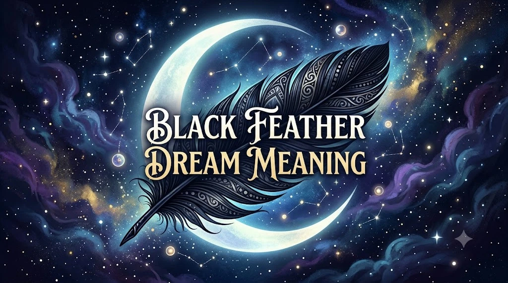 Black Feather Dream Meaning