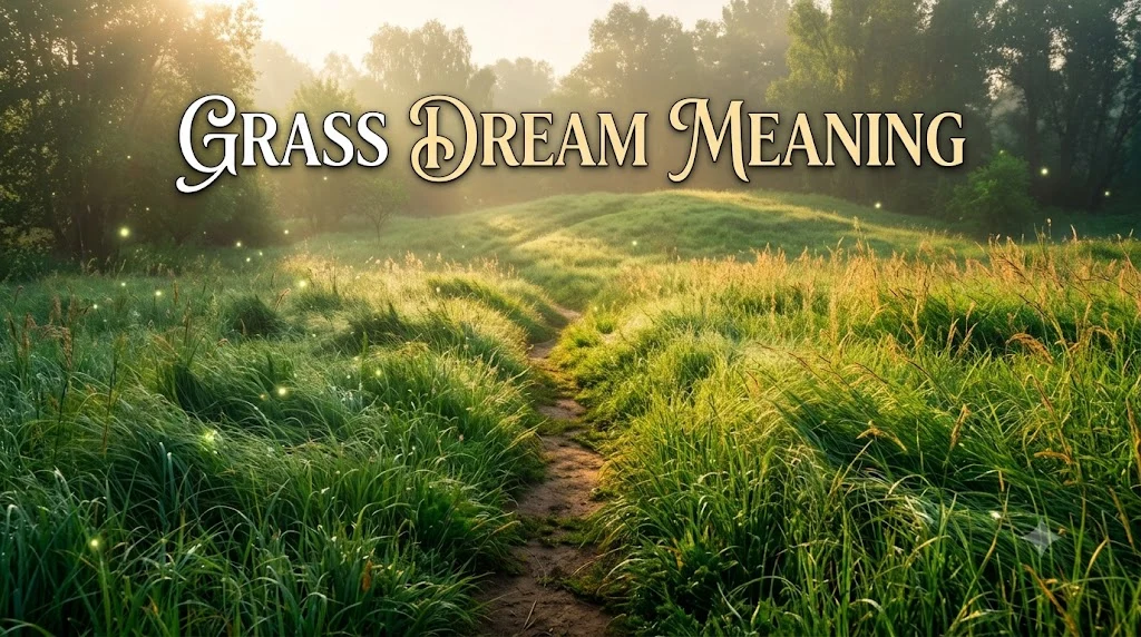 Grass Dream Meaning