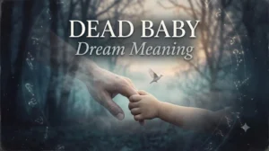 Dead Baby Dream Meaning