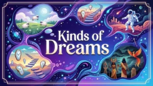 Kinds of Dreams
